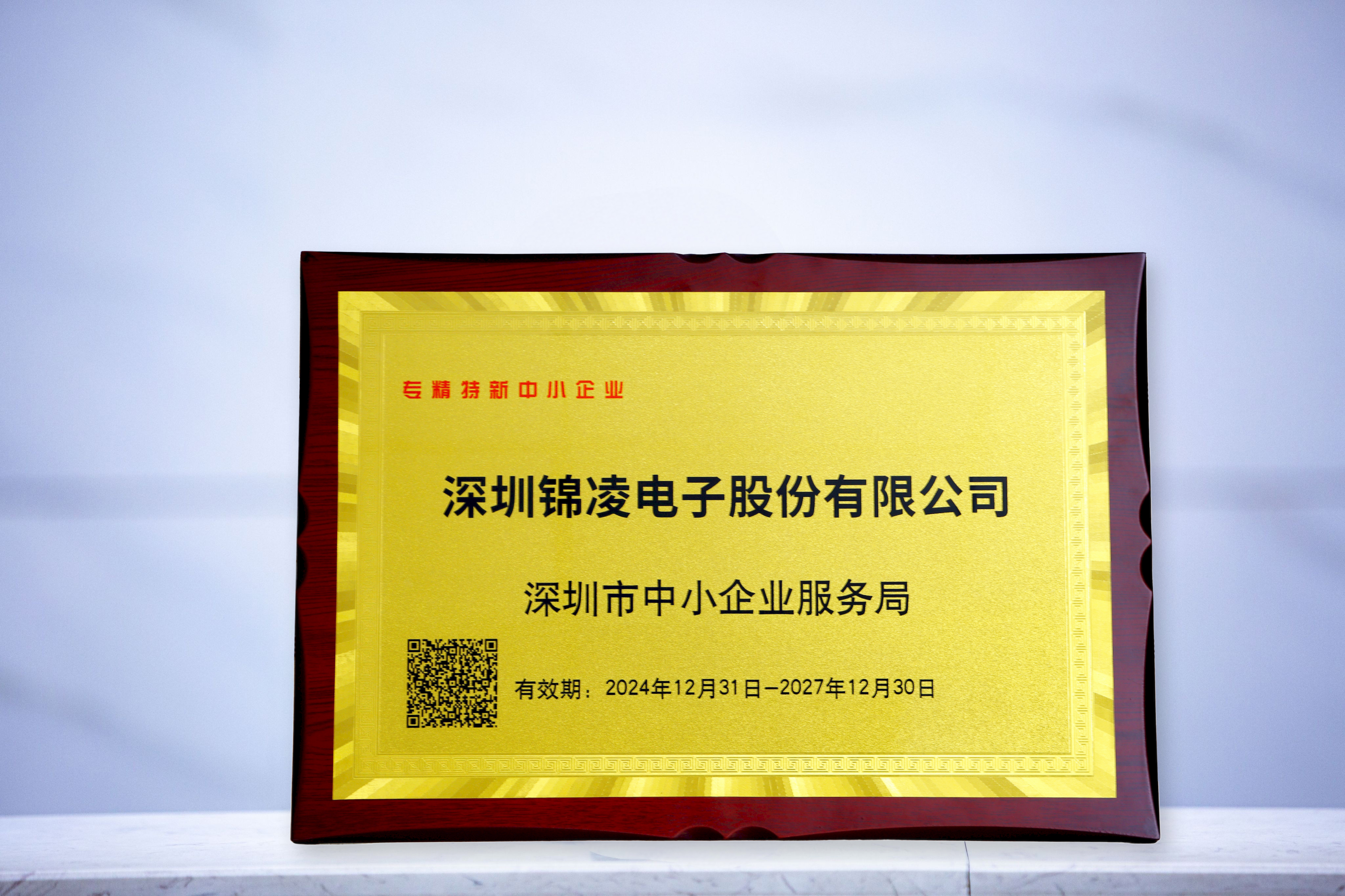 国家专精特新中小企业证书